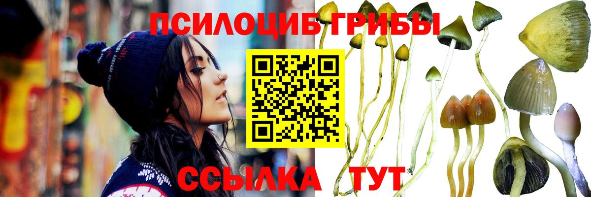 Кумертау  Псилоцибиновые грибы Cubensis  Вход с VPN  купить наркоту  Псилоцибиновые грибы Magic Shrooms 